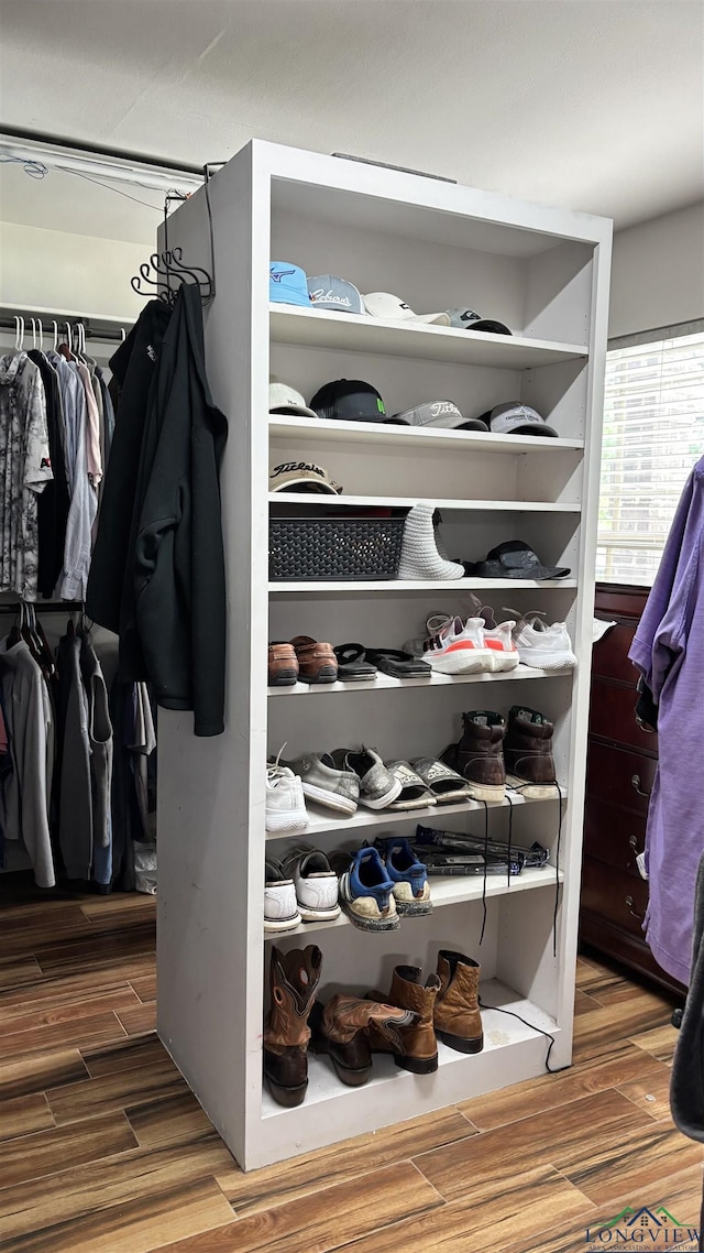 view of closet