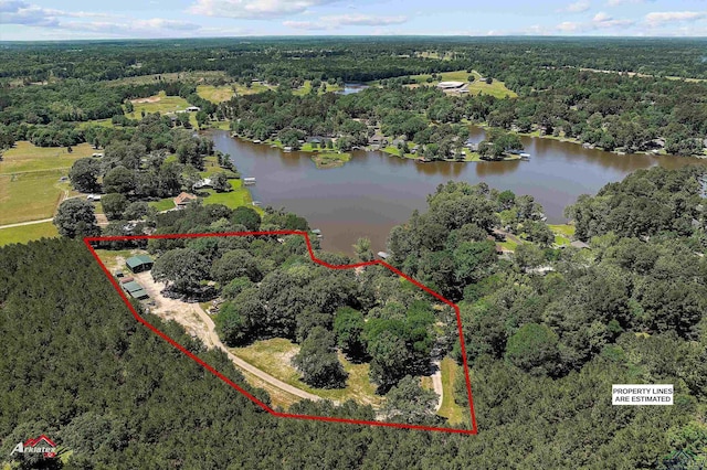 birds eye view of property featuring a water view and a forest view