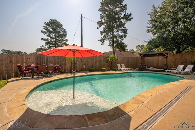 view of pool featuring a patio