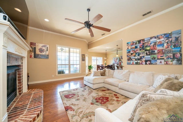 living room with a fireplace, ornamental molding, ceiling fan, and dark wood-type flooring