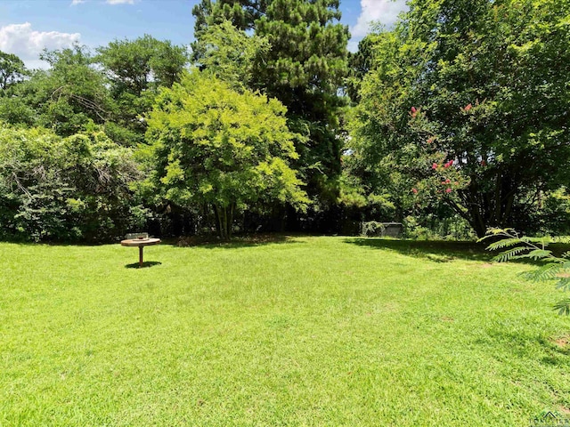 302 Wildwood Dr, Daingerfield, TX 75638 - photo 19