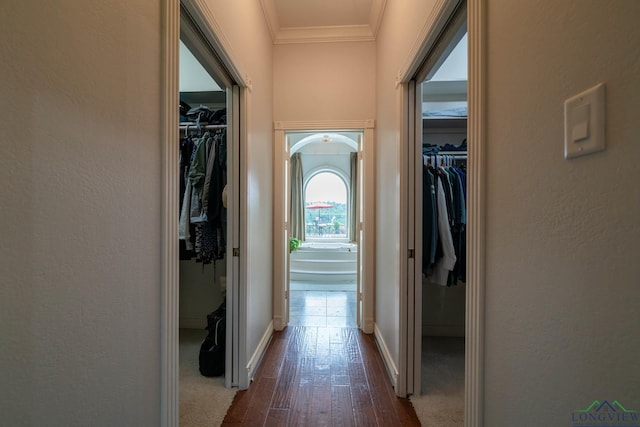335 Winding Way, Hallsville, TX 75650 - corridor featuring ornamental molding, dark wood-type flooring, baseboards, and a textured wall