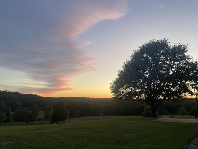 335 Winding Way, Hallsville, TX 75650 - surrounding community with a lawn