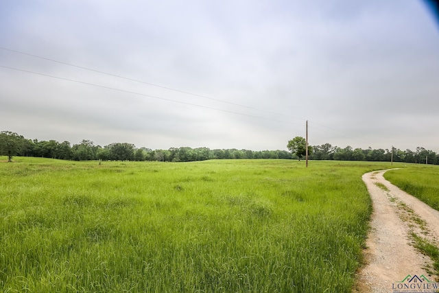 view of yard with a rural view