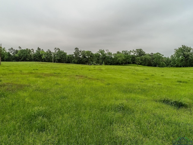 view of nature featuring a rural view