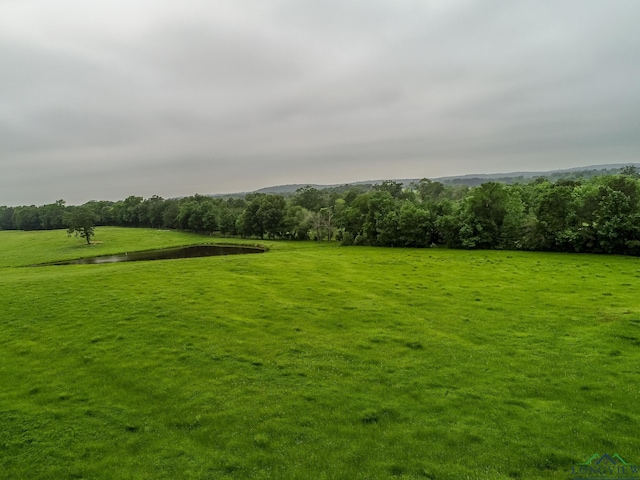 view of yard with a rural view