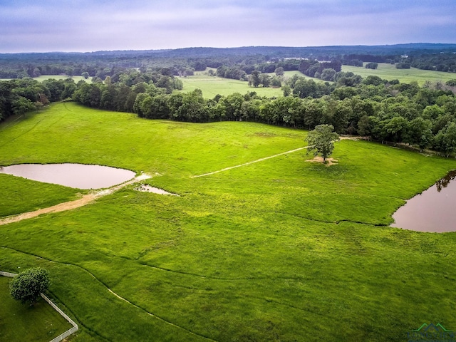 bird's eye view featuring a rural view and a water view