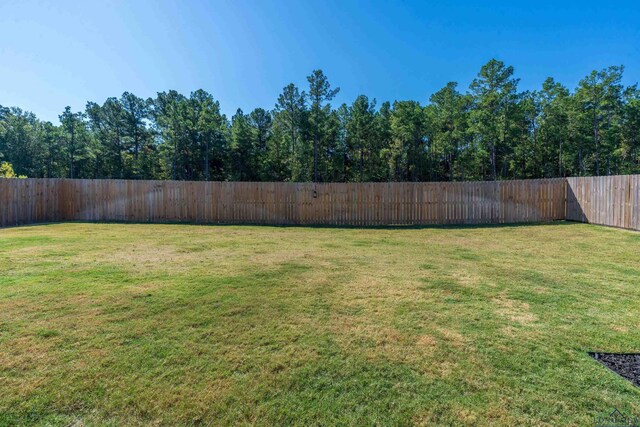 118 Pintail, Hallsville, TX 75650 - photo 25