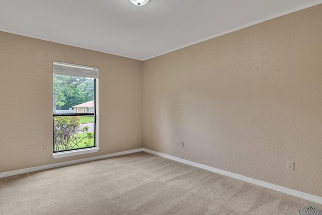 carpeted empty room featuring baseboards and crown molding