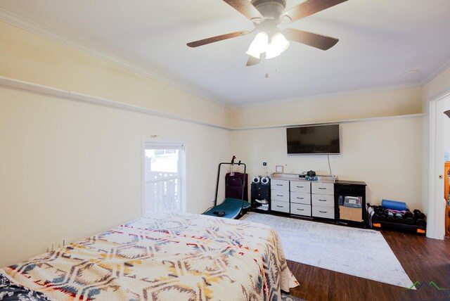 500 Jasper Dr, Marshall, TX 75672 - bedroom featuring crown molding, ceiling fan, and dark wood-type flooring
