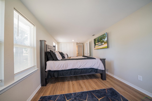 bedroom featuring multiple windows and wood-type flooring