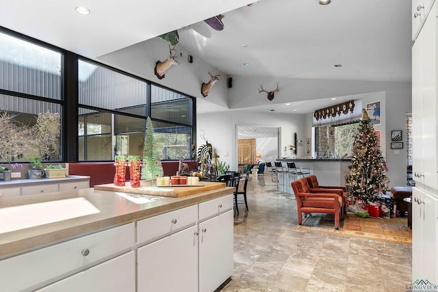 kitchen with a wealth of natural light and white cabinets