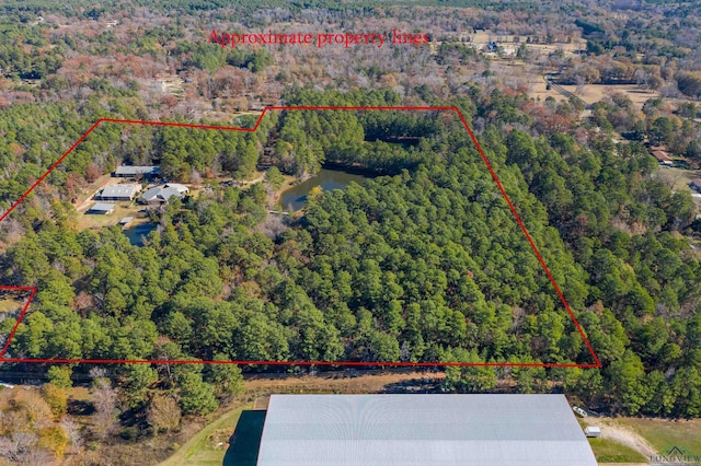 1725 Fm 2751, Longview, TX 75605 - photo 5
