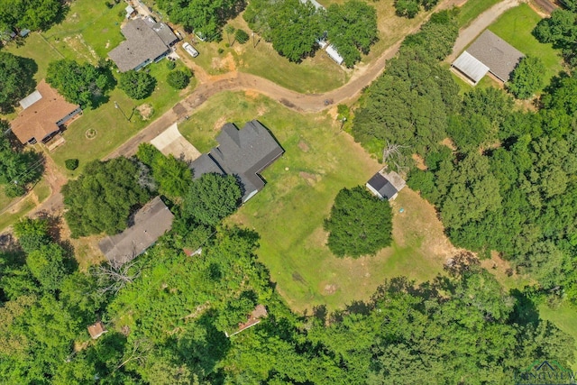 223 Circle Ridge Dr, Gilmer, TX 75645 - aerial view of property and surrounding area