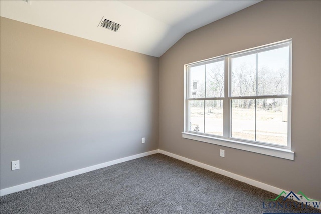 spare room with vaulted ceiling, a wealth of natural light, and carpet flooring