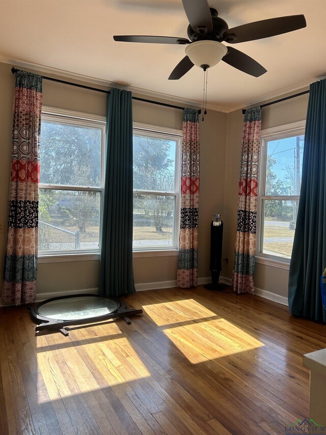 interior space with hardwood / wood-style floors and ceiling fan