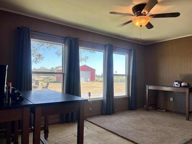 office space featuring a wealth of natural light, ceiling fan, and ornamental molding