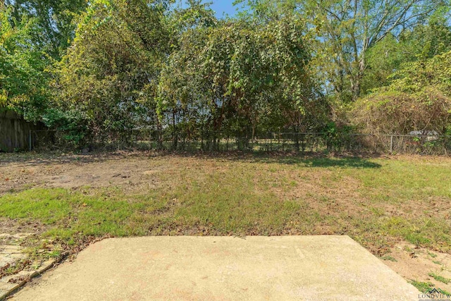 view of yard with a patio