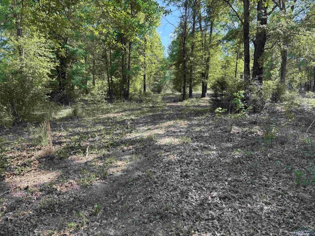 TRACT3 Fm 2659, Hawkins, TX 75765