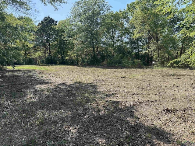 TRACT3 Fm 2659, Hawkins, TX 75765