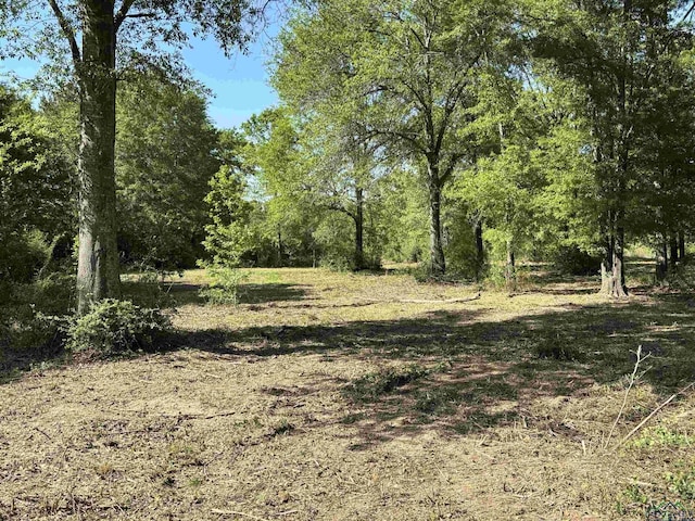 TRACT3 Fm 2659, Hawkins, TX 75765