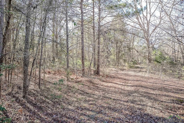 view of local wilderness