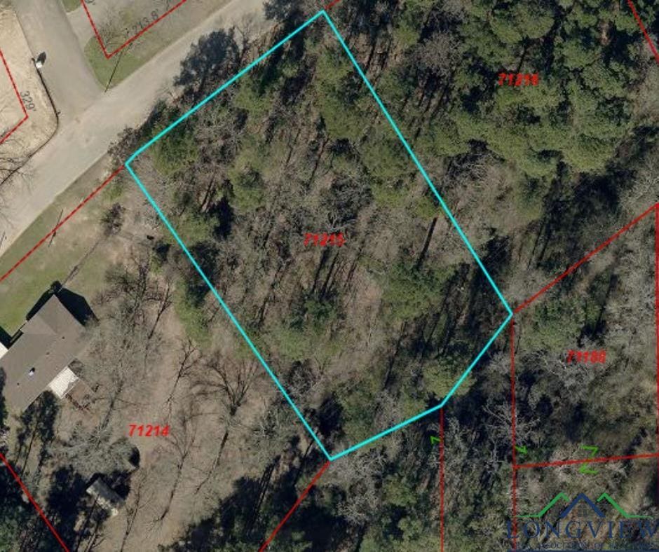 706 Leona, White Oak, TX 75693 - photo 2