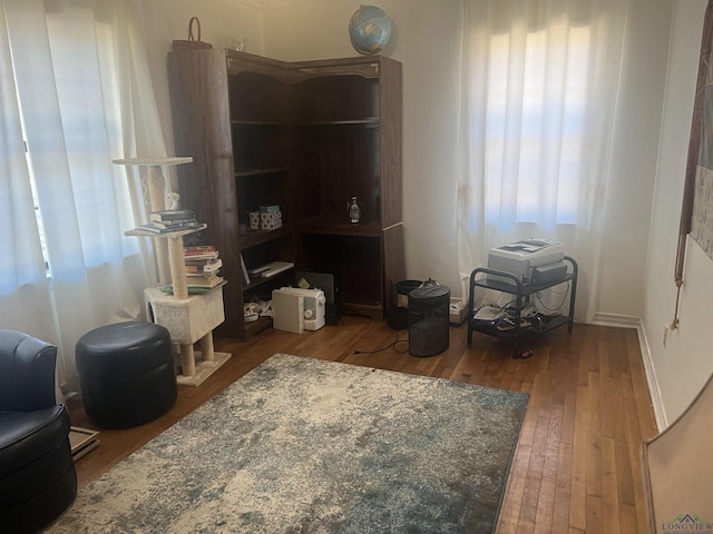 living area featuring hardwood / wood-style floors