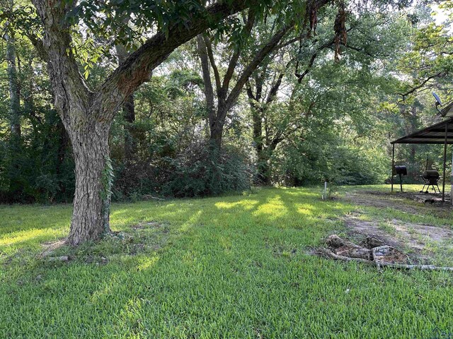 107 Shell St, Overton, TX 75684 - photo 20