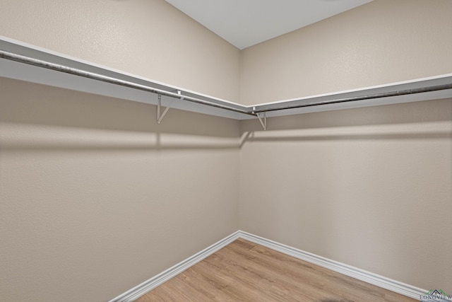 spacious closet featuring light wood-style floors