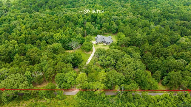 235 Pinball Rd, Big Sandy, TX 75755 - photo 49