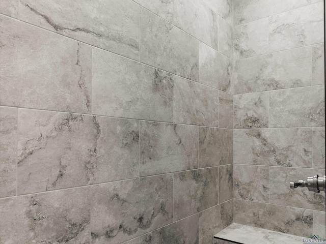 room details with tiled shower