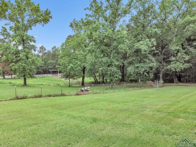 4202 Brent Rd, Longview, TX 75604 - view of yard