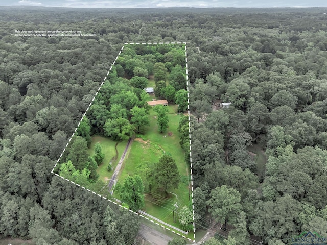 4202 Brent Rd, Longview, TX 75604 - view of property location with a forest and property parcel outlined
