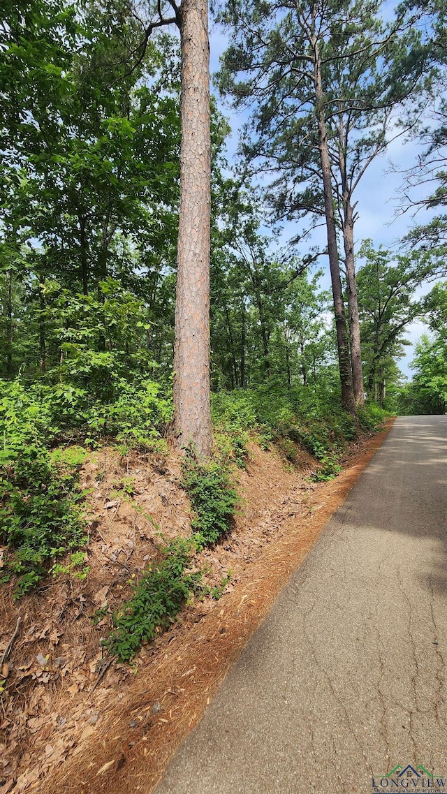 TBD Bobwhite Rd, Gilmer, TX 75645