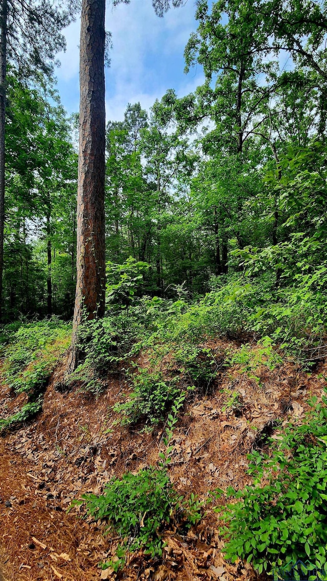 TBD Bobwhite Rd, Gilmer, TX 75645