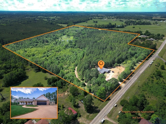 10740 Fm 2685, Gladewater, TX 75647 - aerial view of property and surrounding area featuring a forest and property parcel outlined