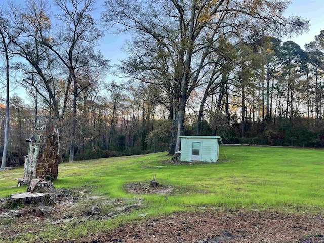 view of yard with a storage shed