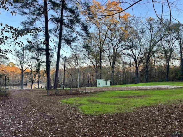 view of yard featuring a storage unit