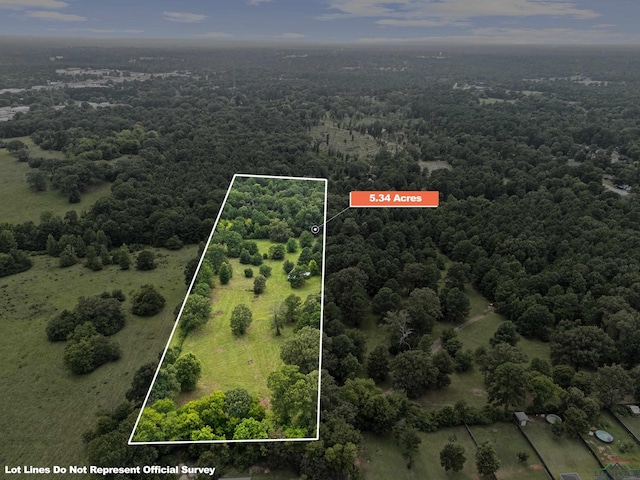 1214 Spring St, Longview, TX 75604 - photo 3