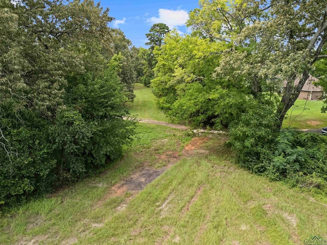 1214 Spring St, Longview, TX 75604 - photo 12