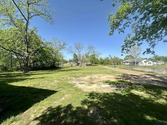 403 Church, Winnsboro, TX 75494 - view of yard