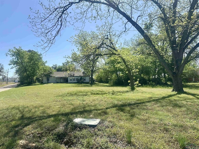 403 Church, Winnsboro, TX 75494 - view of yard