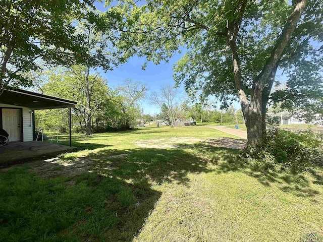 403 Church, Winnsboro, TX 75494 - view of yard