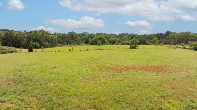 20064 Fm 1716 E, Tatum, TX 75691 - view of local wilderness with a rural view