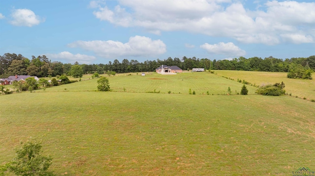 20064 Fm 1716 E, Tatum, TX 75691 - view of yard featuring a rural view