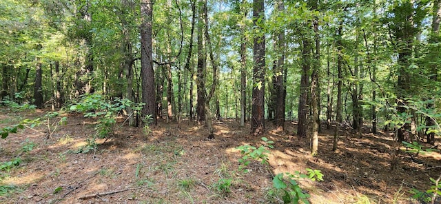 5680 S State Highway 43, Jefferson, TX 75657 - photo 25
