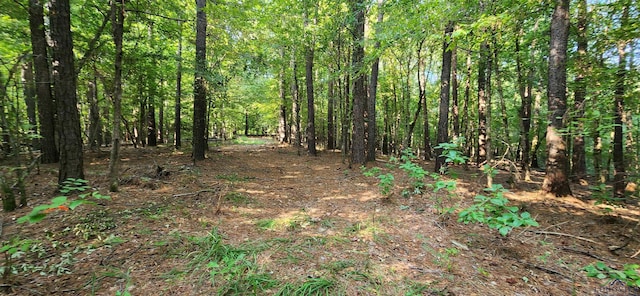 5680 S State Highway 43, Jefferson, TX 75657 - photo 26
