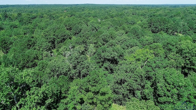 5680 S State Highway 43, Jefferson, TX 75657 - photo 45
