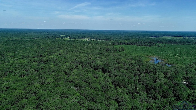 5680 S State Highway 43, Jefferson, TX 75657 - photo 43